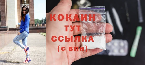 стафф Зерноград