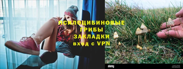 PSILOCYBIN Зеленокумск