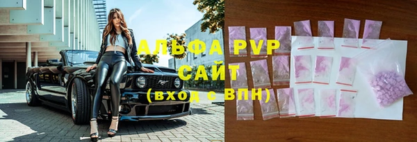 стафф Зерноград