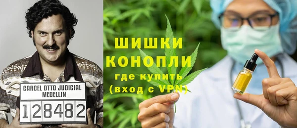 стафф Зерноград