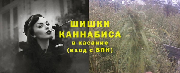 стафф Зерноград