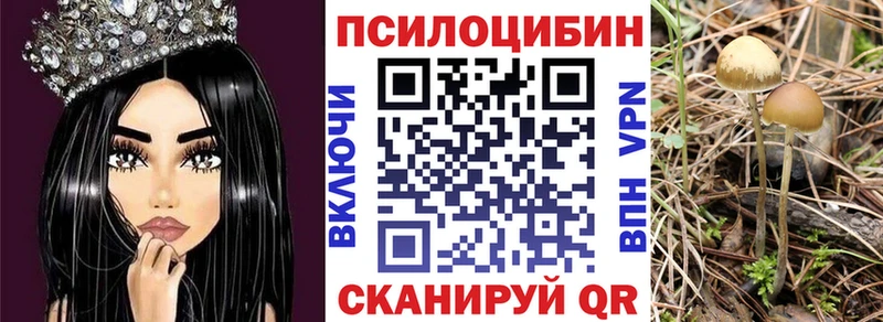 Купить где  Новое Девяткино  Галлюциногенные грибы мицелий 