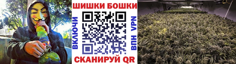 Купить закладки  Новое Девяткино  МАРИХУАНА индика 